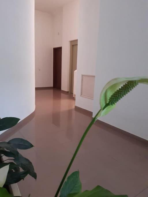 Apartamento Batalha - Quarteira, Algarve, Portugal Экстерьер фото